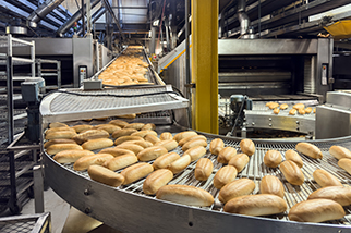Food processing equipment and conveyor with small loaves of baked bread